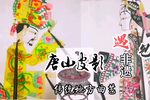 布局保龙山 选段