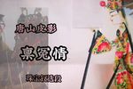 禀冤情 选段