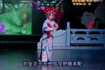 刘金定下南唐 选段