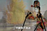 思往情 选段