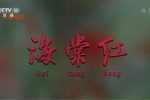 海棠红 全集