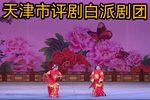 花为媒 全集下载