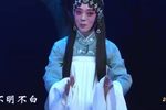 包公三勘蝴蝶梦第七场