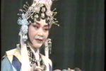桃花庵下载