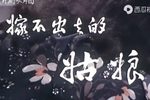 嫁不出去的姑娘 全集下载