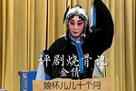 烧骨记 选段下载