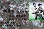 樱花恋 全集下载