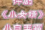 小女婿 选段下载