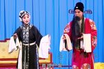 秦香莲 闯宫下载