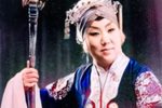 对花枪 全集下载