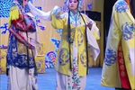 打金枝 劝万岁 选段