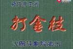 打金枝 全集