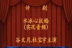 水冰心抗婚 全集下载