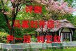 马寡妇开店下载