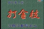 打金枝下载