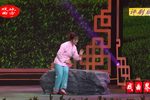 小女婿 选段下载