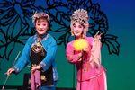 花为媒 全集下载