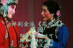 花为媒下载