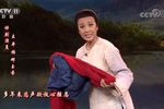 母亲 苦苦等了多少年 选段