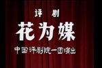 花为媒 全集下载