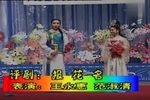 报花名 选段