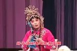花为媒下载