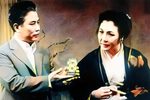 樱花恋 全集下载
