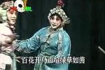 杨八姐游春 全集下载