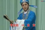 闹严府 全集下载
