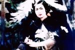 杜鹃山 全集下载