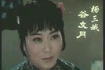 杨三姐告状