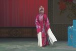 赶女婿 选段下载