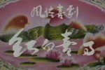 红白喜事 全集下载