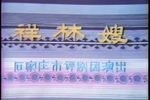 祥林嫂 全集下载
