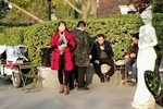 对花枪