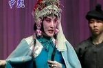 卖油郎独占花魁下载
