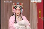 珍珠衫下载