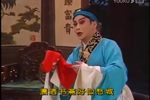 花为媒下载