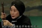 村南柳 选段下载