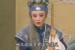 狸猫换太子