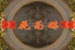 花为媒下载