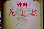 花为媒 全集下载