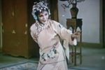 花为媒 选段