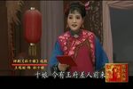 王冠丽专辑 五