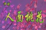 人面桃花 全集下载