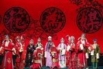 花为媒 全集下载