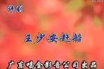 王少安赶船下载