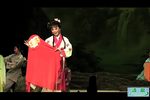 梨花情 全集