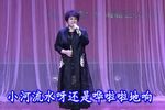 小女婿 选段下载