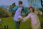 花为媒下载